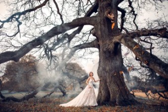 Disney Fairy Tale Weddings Collection 137011 #3 Mocha/Champagne/Ivory/Nude thumbnail