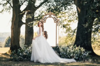Disney Fairy Tale Weddings Collection 138281 #2 Champagne/Ivory thumbnail