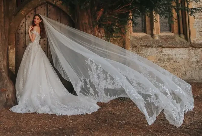 Disney Fairytale Weddings | Fantasy Bridal - 138282  display picture 1