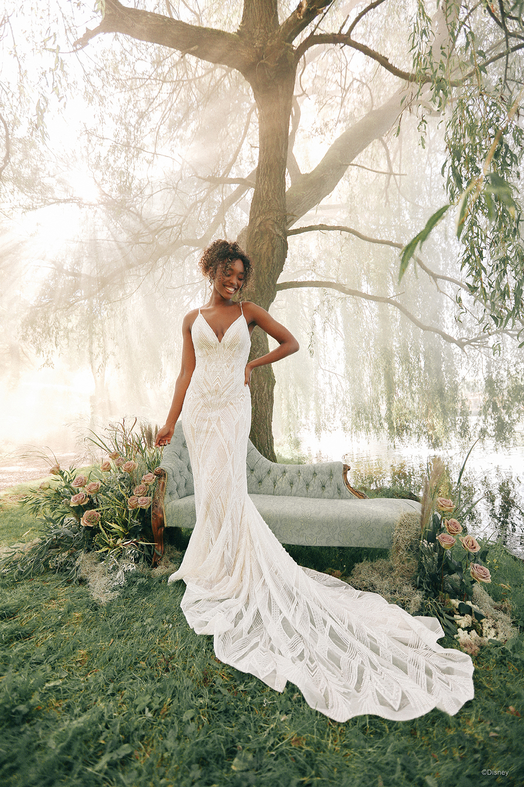 Disney Fairy Tale Weddings | Bri'Zan Couture - D373 Cinderella | Bri'Zan  Couture