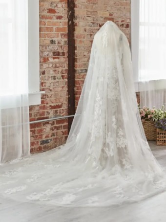 Sottero and Midgley 138176 #0 default Ivory thumbnail