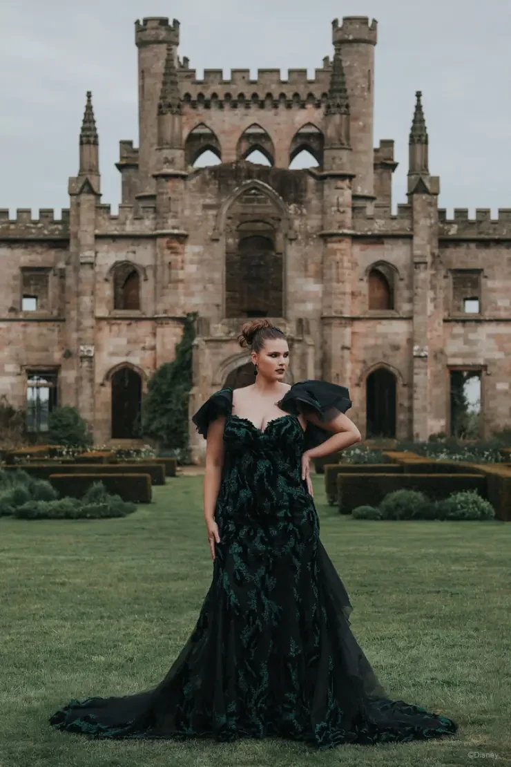 Disney Fairy Tale Weddings Collection 142178 Default Image