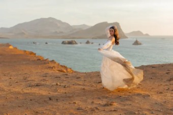 Wilderly Bride 143116 #20 Nude/Champagne/Ivory thumbnail