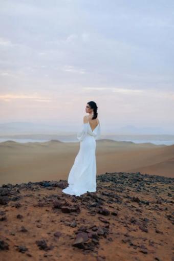 Wilderly Bride 143114 #7 Ivory/Nude thumbnail