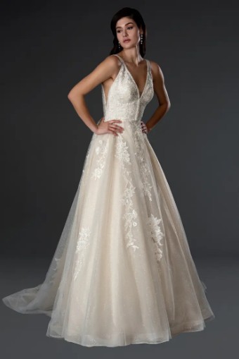 Dream Collection 141719 #1 Champagne thumbnail