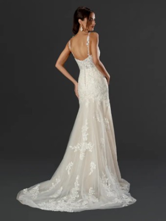 Dream Collection 142525 #2 Champagne thumbnail