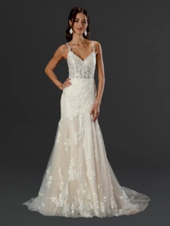 Dream Collection 142525 #1 Champagne thumbnail