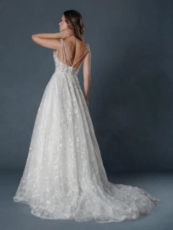 Dream Collection 144536 #1 default Champagne thumbnail