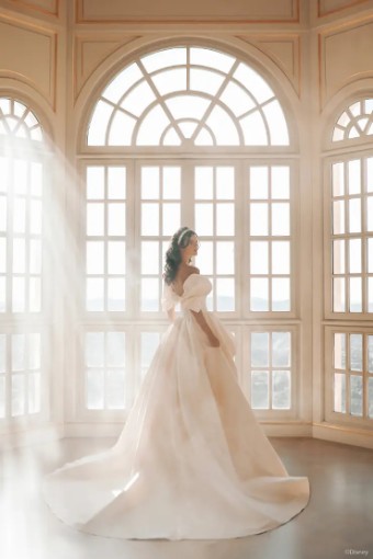 Disney Fairy Tale Weddings Collection 144076 #8 Ivory thumbnail