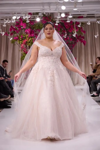 Sottero and Midgley 141048 #0 default Ivory / Soft Blush thumbnail