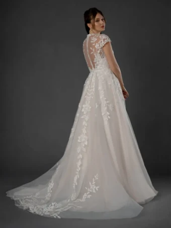 Dream Collection 145533 #2 Champagne thumbnail