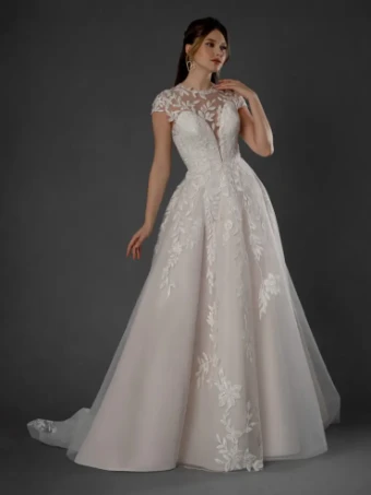 Dream Collection 145533 #0 default Champagne thumbnail