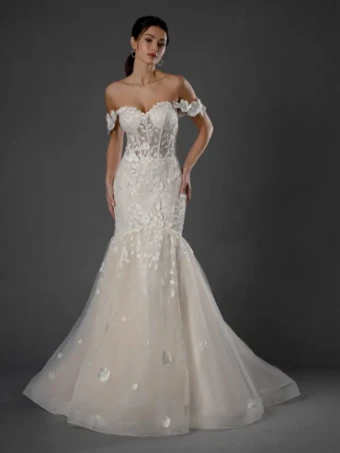 Dream Collection 145525 #0 default Champagne thumbnail