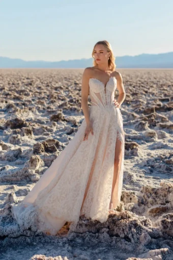 Wilderly Bride 145720 #0 default Champagne/Ivory/Nude thumbnail