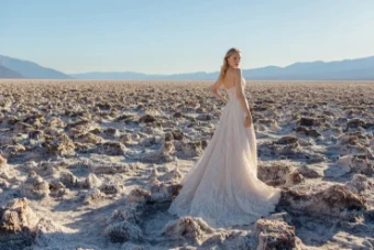 Wilderly Bride 145720 #2 Champagne/Ivory/Nude thumbnail