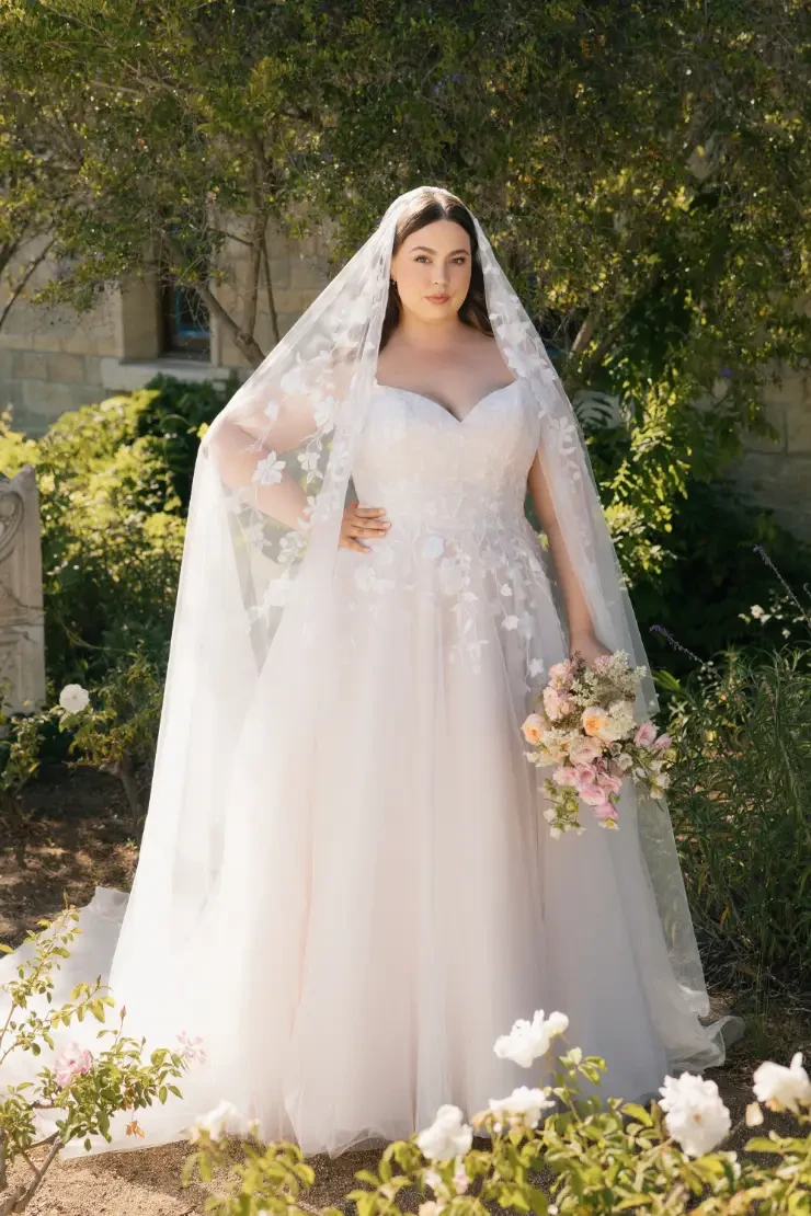 Allure 146188 Default Image