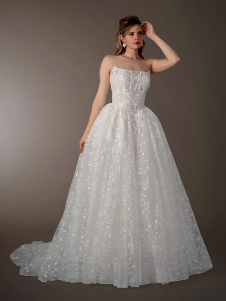 Dream Collection 146526 Default Image