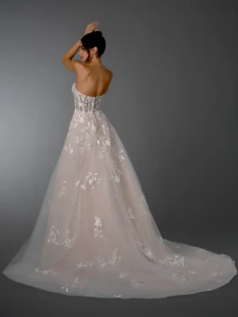 Dream Collection 146504 #2 Champagne thumbnail