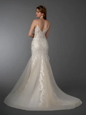 Dream Collection 146509 #2 Champagne thumbnail
