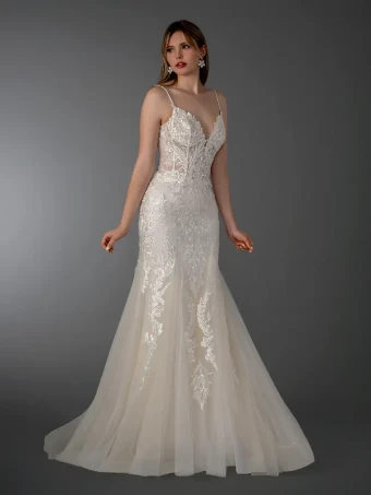 Dream Collection 146509 #1 Champagne thumbnail