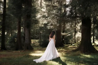 Disney Fairy Tale Weddings Collection 147015 #5 Mocha/Champagne/Ivory thumbnail