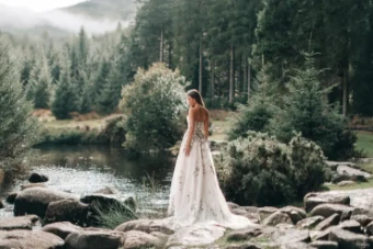 Disney Fairy Tale Weddings Collection 147030 #4 Ivory/Champagne/Multi thumbnail