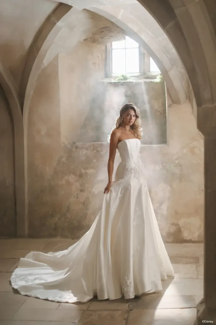 Disney Fairy Tale Weddings Collection 147005 Default Image