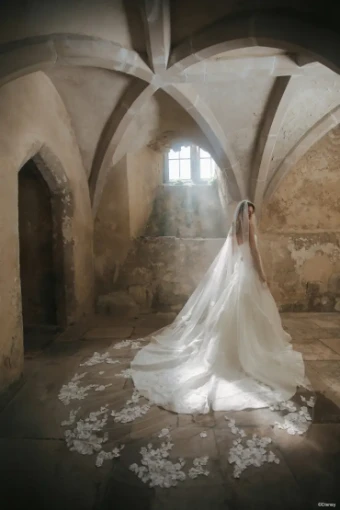 Disney Fairy Tale Weddings Collection 147005 #6 Ivory thumbnail