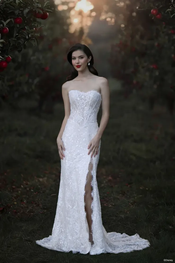 Disney Fairy Tale Weddings Collection 147020 Default Image