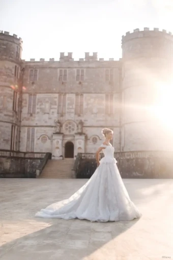 Disney Fairy Tale Weddings Collection 147018 #3 Ivory/Blue/Silver thumbnail