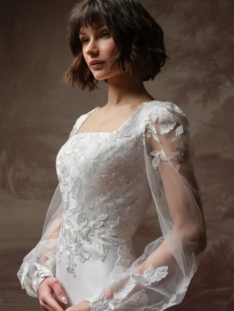 Rebecca Ingram 147856 #1 All Ivory (gown with Ivory Illusion) thumbnail