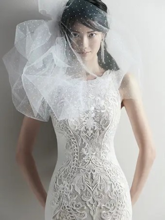 Sottero and Midgley 133006 #0 default Nude/Ivory thumbnail