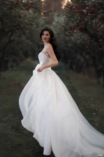 Disney Fairy Tale Weddings Collection 147023- Overskirt #4 default Ivory thumbnail