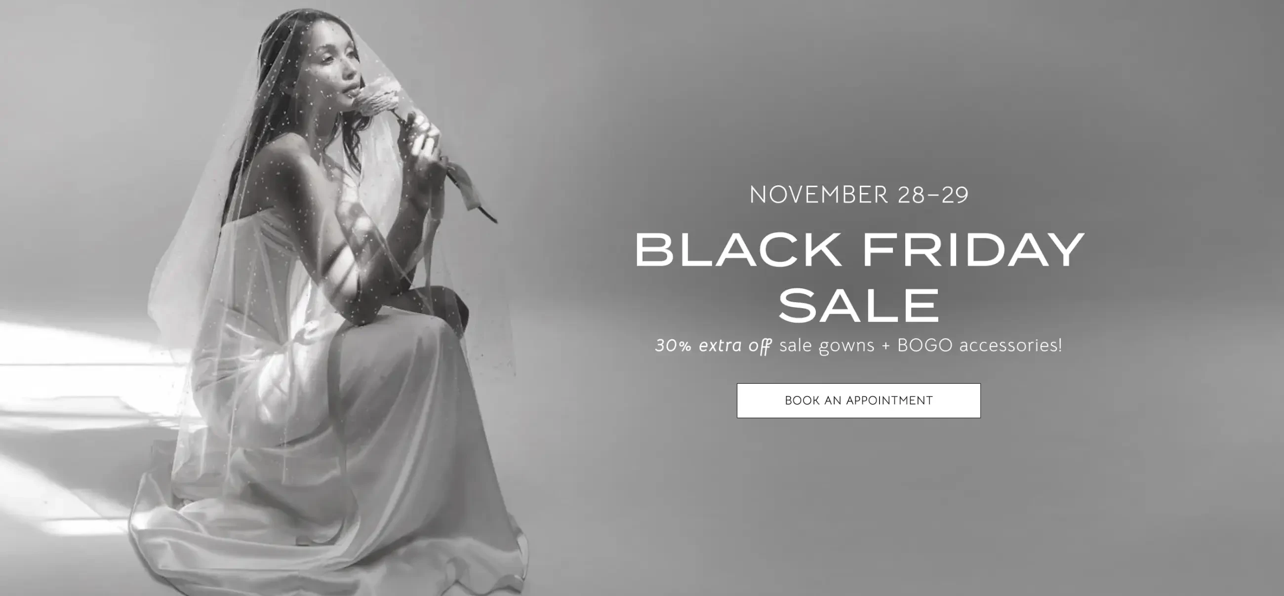 Black Friday Sample Sale Banner for Desktop